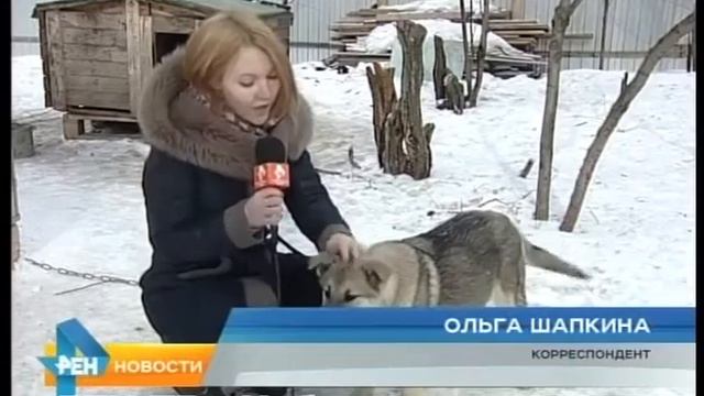 Двуногие – четырёхлапым