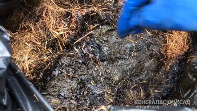 В 100 раз Лучше Навоза! В огороде всё растёт прекрасно! Успейте заготовить Осенью! смотреть онлайн