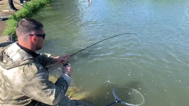 Лобня. Луговая. Рыболовный клуб «Зелёный берег» Онлайн с водоема смотреть онлайн