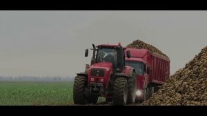 Вот это хит.mp4