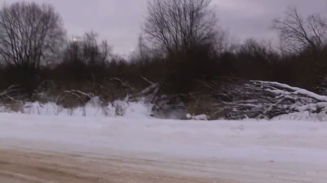 Охота с эстонскими гончими смотреть онлайн