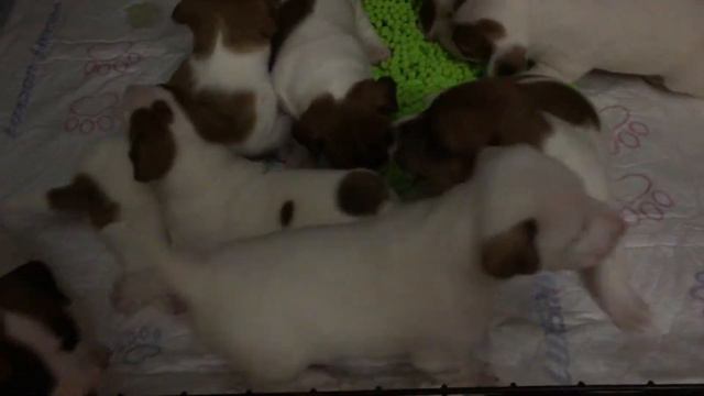 Эйприл-возле травки смотреть онлайн