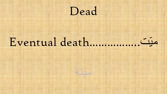 Proper Animal Slaughter - Quran Tafsir - Session 171 - The Cow - Verses 172 & 173 смотреть онлайн