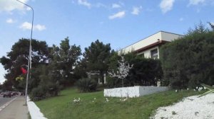 «Золотая лоза» супер жильё/ Андреевский парк /дельфинарий Геленджика