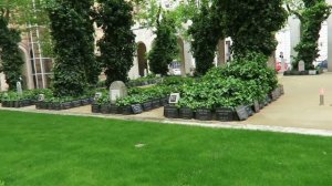Большая синагога в Будапеште/Dohány Street Synagogue, Budapest