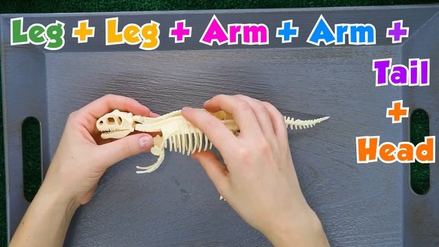 Dinosaurs For Kids | Learn Dinosaur Names With Dinosaur Toys And Dinosaur Cartoon | Speedie DiDi