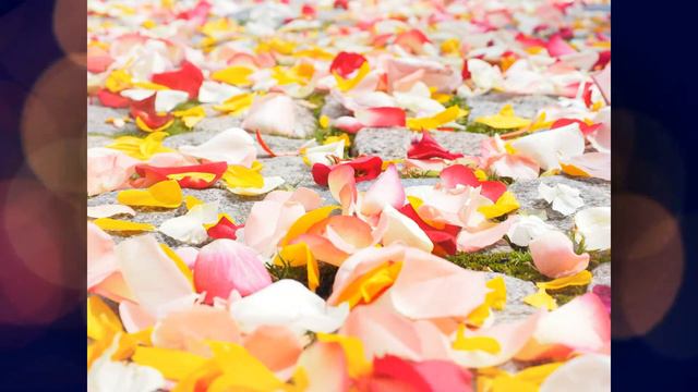 Моя авторская песня (БЕЛЫЙ СОН)... смотреть онлайн