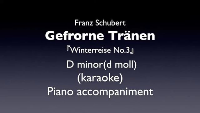 Gefrorne Tranen「Winterreise No.3」F.Schubert D minor(d moll) Piano accompaniment(karaoke) смотреть онлайн