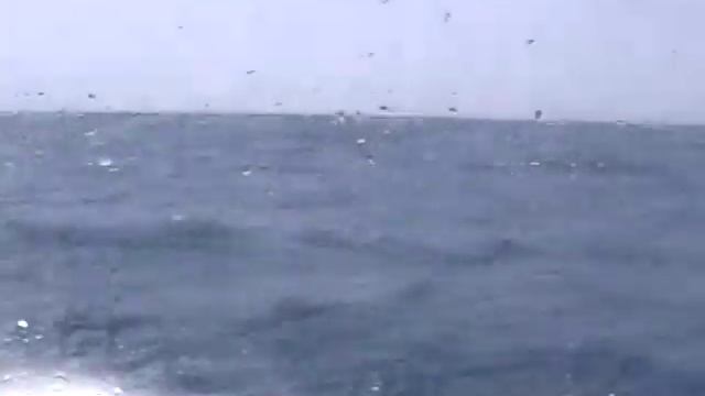 Быстроходный катер Дельфин Калимноса смотреть онлайн