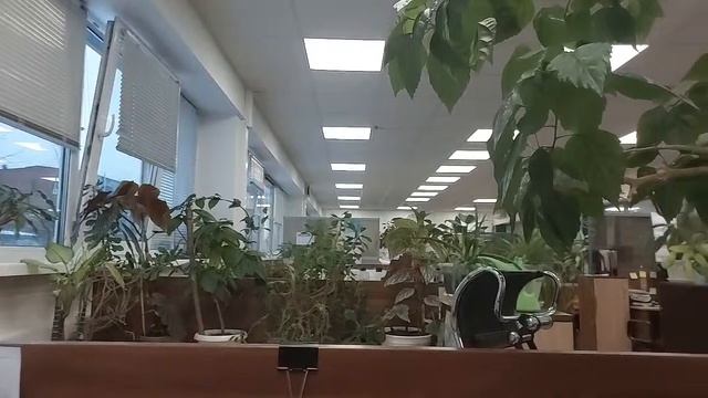 Тестирование #2 смотреть онлайн