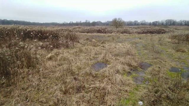 Это просто!!! Малина как вырастить дикий огород с большим урожаем смотреть онлайн