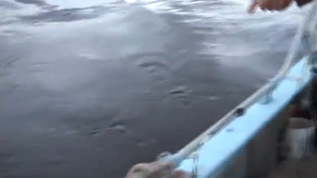 Ловля леща на "кольцо" смотреть онлайн