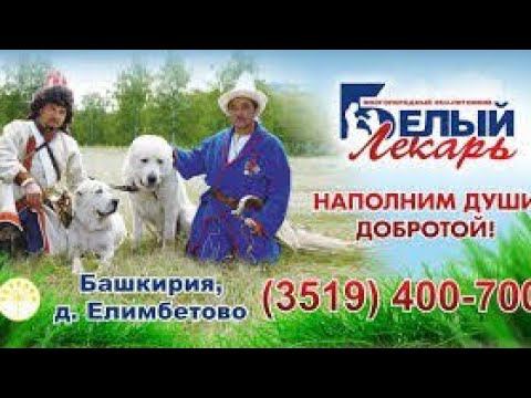 ФК "Металлург" Магнитогорск посетили питомник "Белый лекарь"