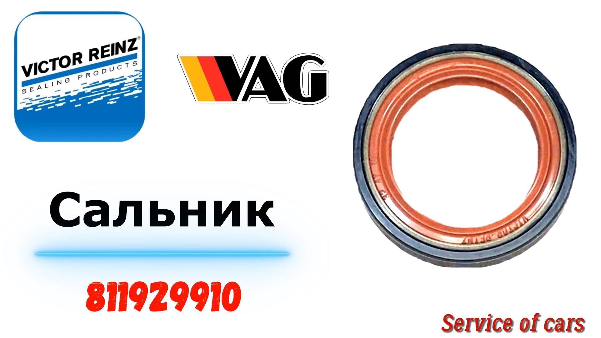 Сальник  811929910 VICTOR REINZ