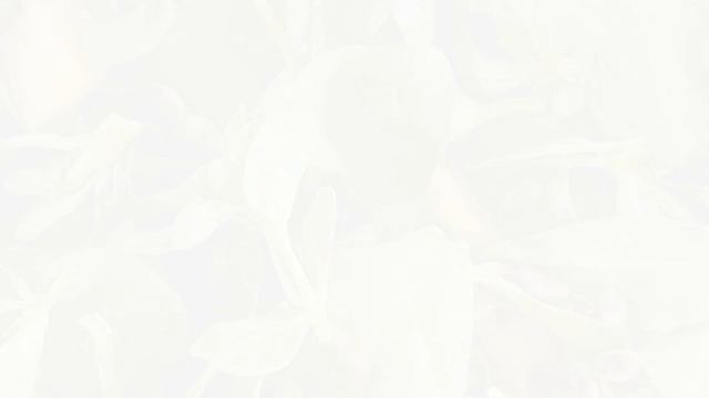 en iyi yemek tarifleri , tatlılar yeni tarifler 🥰 [enfes ve nefis tarifler] смотреть онлайн
