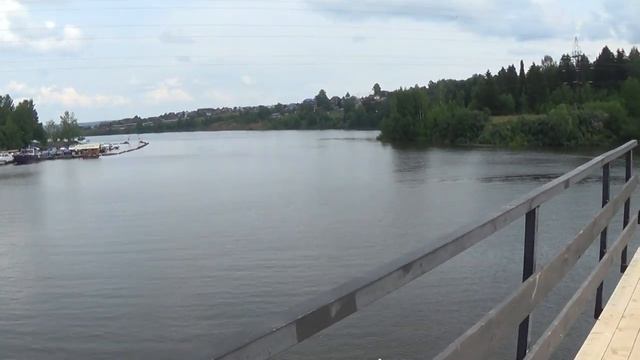 Залив в Голованово. Утки с утятами. Пермь. смотреть онлайн