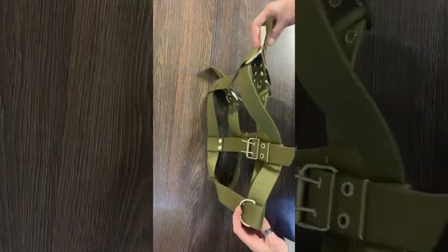 Шлея для собаки брезентовая одинарная смотреть онлайн