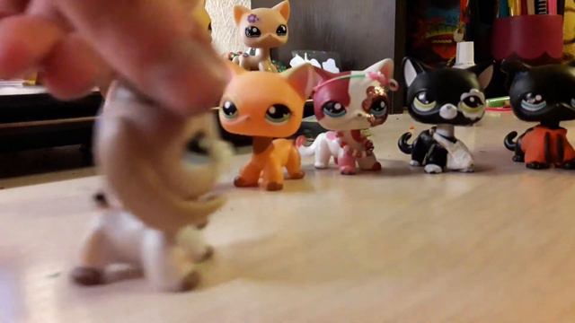 Не удача в игре правда или действие(1 ч)