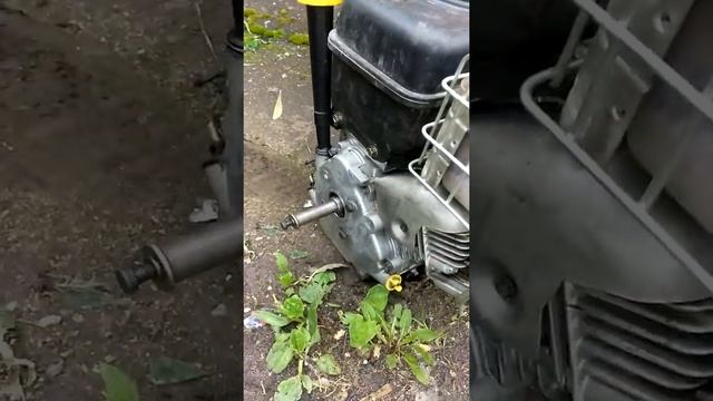 VID 20200531 150427 смотреть онлайн