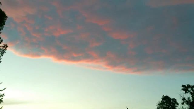 5/15/18 Amazing Ozark sunset with chickens, roses, clematis. Chalet Millett is busting out all over смотреть онлайн