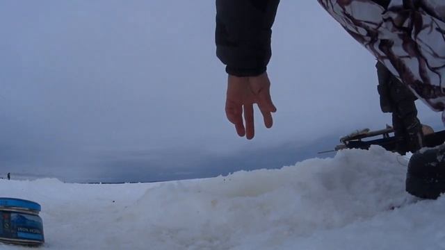 Эта рыба клевала,что и снимать было некогда | После метели за корюшкой! смотреть онлайн