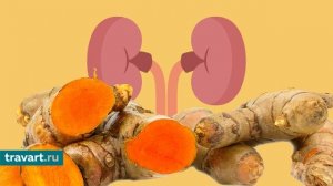 Как куркума действует на почки? Куркума для почек. Польза и вред куркумы.