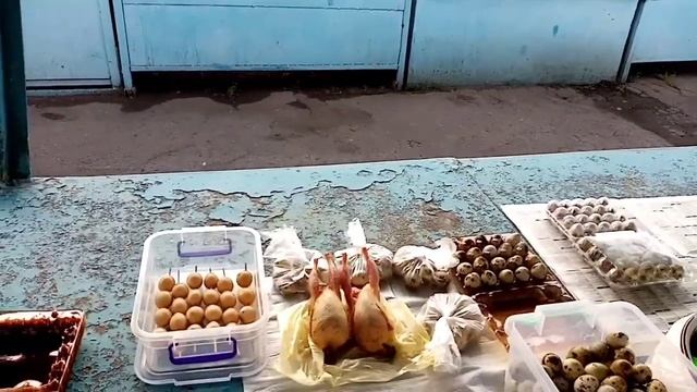 Куда девать перепелиную продукцию смотреть онлайн