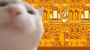 ZONE ANKHA — ОТКУДА МЕМ (Желтая египетская кошка, АНКХА) - смешное видео, приколы, смотреть онлайн