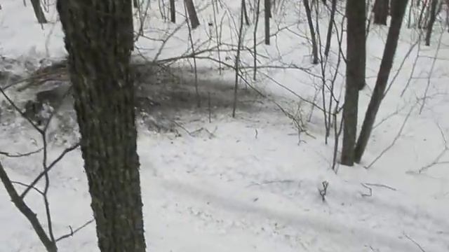 CF 500A + SYM 600 + CF X6 + CF 500 = покатушка 24.03.13._9 смотреть онлайн