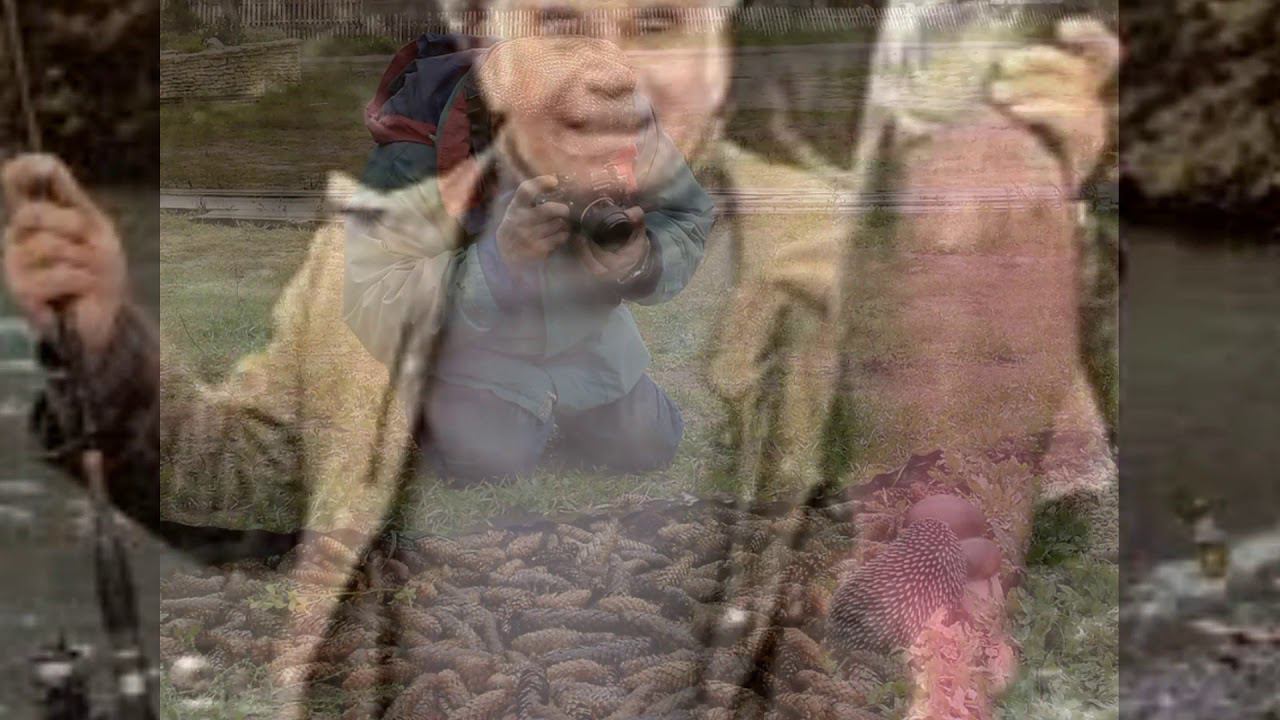 "Шаги по росе" - к 90-летию Василия Михайловича Пескова смотреть онлайн
