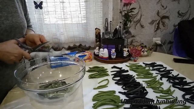 Ինչպես Սառեցնել Լոբին