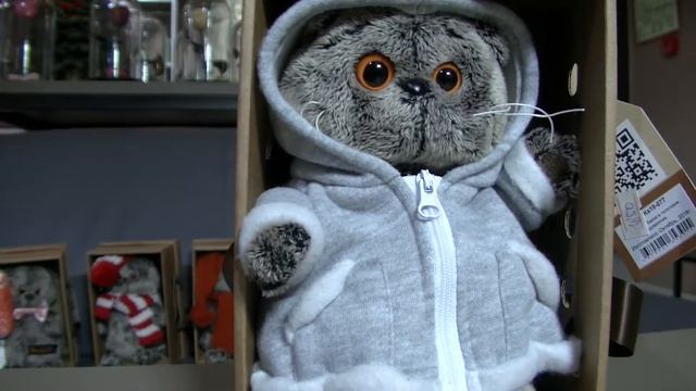 Кот Басик в толстовке Дракончик смотреть онлайн