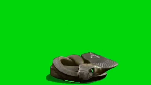 Green Screen Snake. HD Video смотреть онлайн