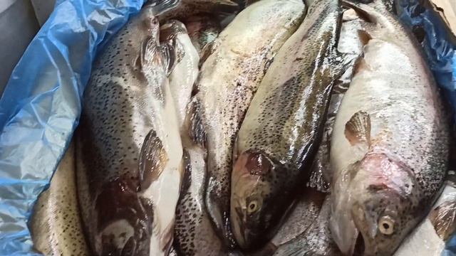 Продолжение цены на Ошском рынке.