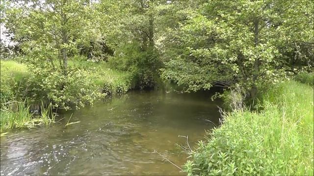 The Hills N Hollows - Late Spring 2018