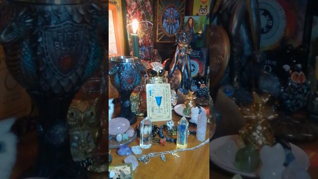 Викканский Оракул Теней. Карта Чаша " смотреть онлайн