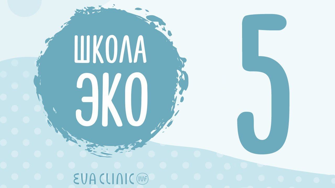 6 дней из жизни эмбриолога EVACLINIC IVF - Школа ЭКО #5