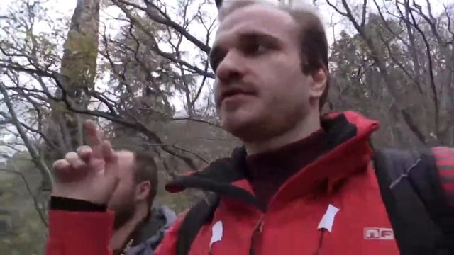 От Ялты до Ласточкиного гнезда