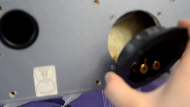 Radiotehnika Silway CS2 center speaker look inside + quick test смотреть онлайн