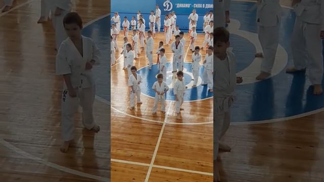 Сдача на оранжевый пояс.каратэ смотреть онлайн