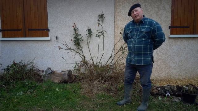 Steve's Easy Rose Pruning смотреть онлайн