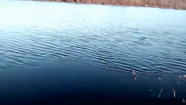 Река ЛОВАТЬ смотреть онлайн