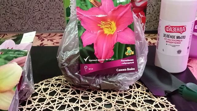 12.03.23 покупочки ?. ?розы, ?лилии, лилейник и др. смотреть онлайн