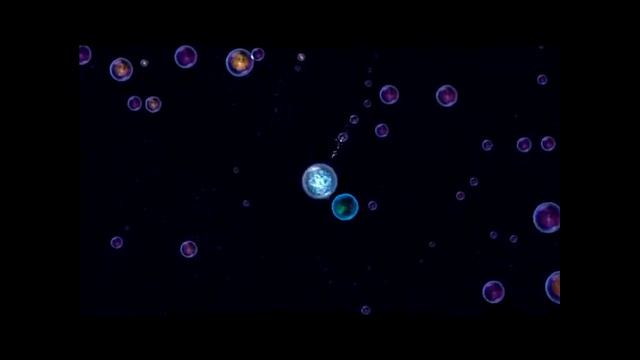 Обзор игры «OSMOS»