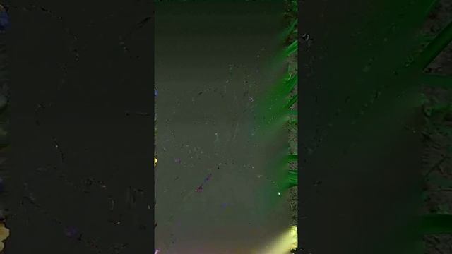 300. Lycean Люциан Лилейник смотреть онлайн