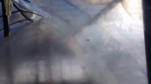 Пленка СВЕТЛИЦА. Прошло 4 года. Что дальше?