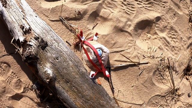 Балтийский Берег Или Поход Во Время Чумы смотреть онлайн