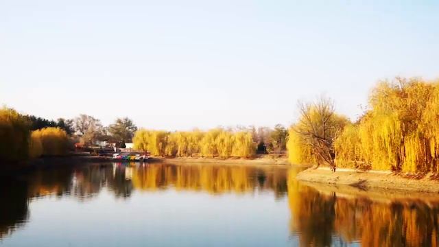 Самая красивая осень в дендропарке Шымкента смотреть онлайн