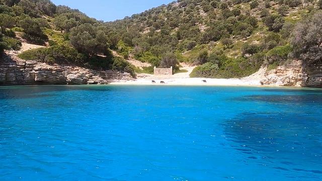 KASTOS & KALAMOS BY BOAT (IONIAN ISLANDS) ?️❤️ΚΑΣΤΟΣ ΚΑΙ ΚΑΛΑΜΟΣ ΜΕ ΣΚΑΦΟΣ (ΙΩΝΙΑ ΝΗΣΙΑ) ?️❤️ смотреть онлайн