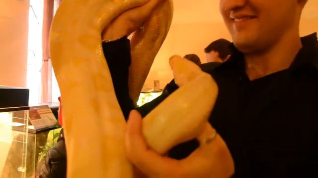 Трогательный зоопарк, Днепропетровск смотреть онлайн